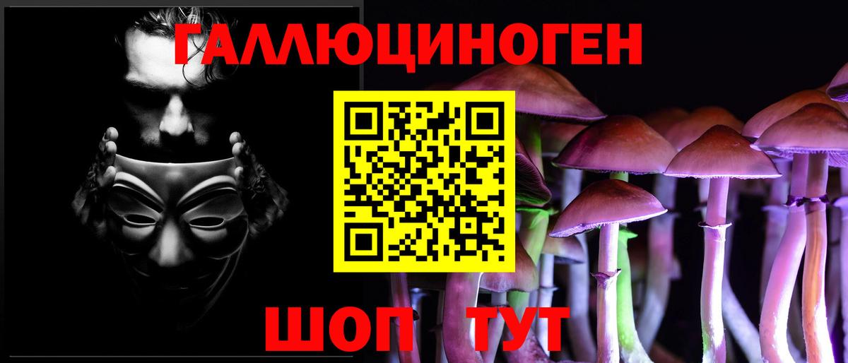 купить наркотик  Псилоцибиновые грибы мицелий  Тамбов  Вход с VPN  Галлюциногенные грибы Psilocybine cubensis 