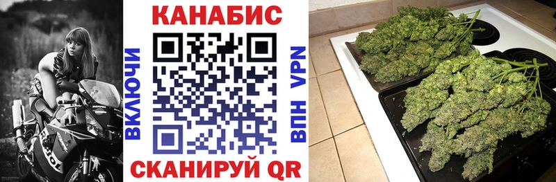 shop официальный сайт  купить   Тамбов  МАРИХУАНА ГИДРОПОН 